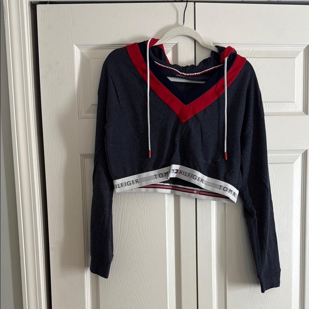 Urban Outfitters Tommy Hilfiger Cropped Hoodie